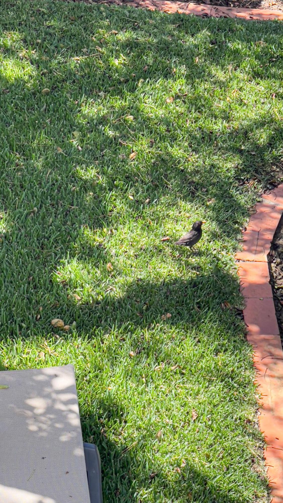 Verde Pino Vilamoura Dış mekan fotoğraf
